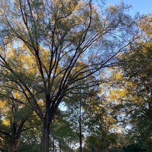 Meet your Posher, Sophie